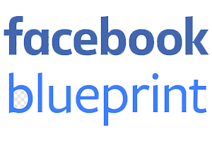 fb Digital Nest, Digital Nest School of Business