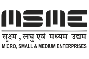 msme Digital Nest, Digital Nest School of Business