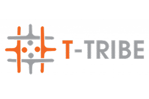 t-tribe Digital Nest, Digital Nest School of Business